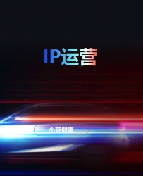 IP运营：品牌IP、人物IP